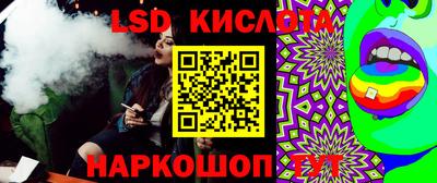 spice Новодвинск