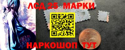 стаф Новокубанск