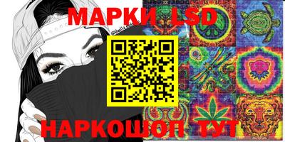 стаф Новокубанск