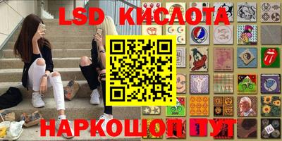 шишки Новозыбков