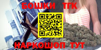 стаф Новокубанск