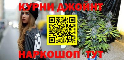 spice Новодвинск