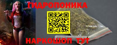 spice Новодвинск