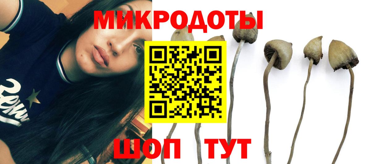 Псилоцибиновые грибы Magic Shrooms  Вход с VPN  наркота  Сызрань 